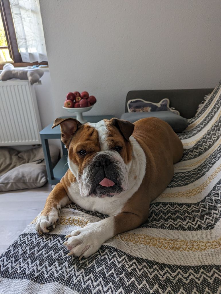 Rose-marie du royaume de nelson